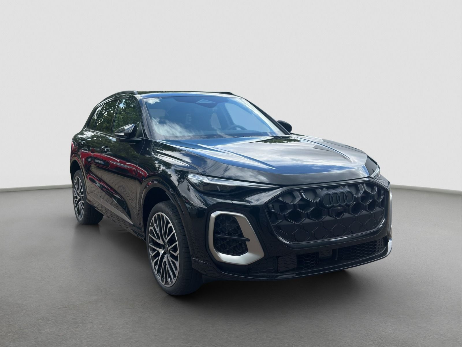 Audi - SQ5_10