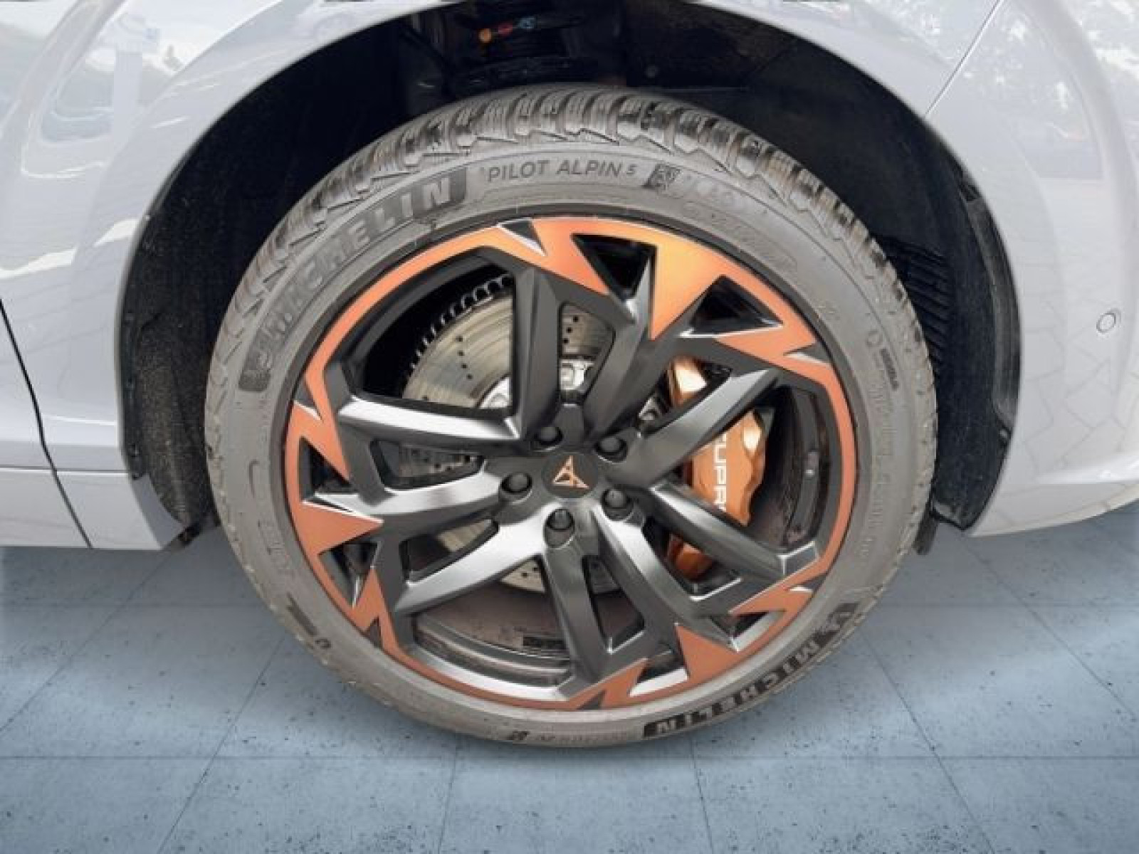 Cupra - Terramar_9