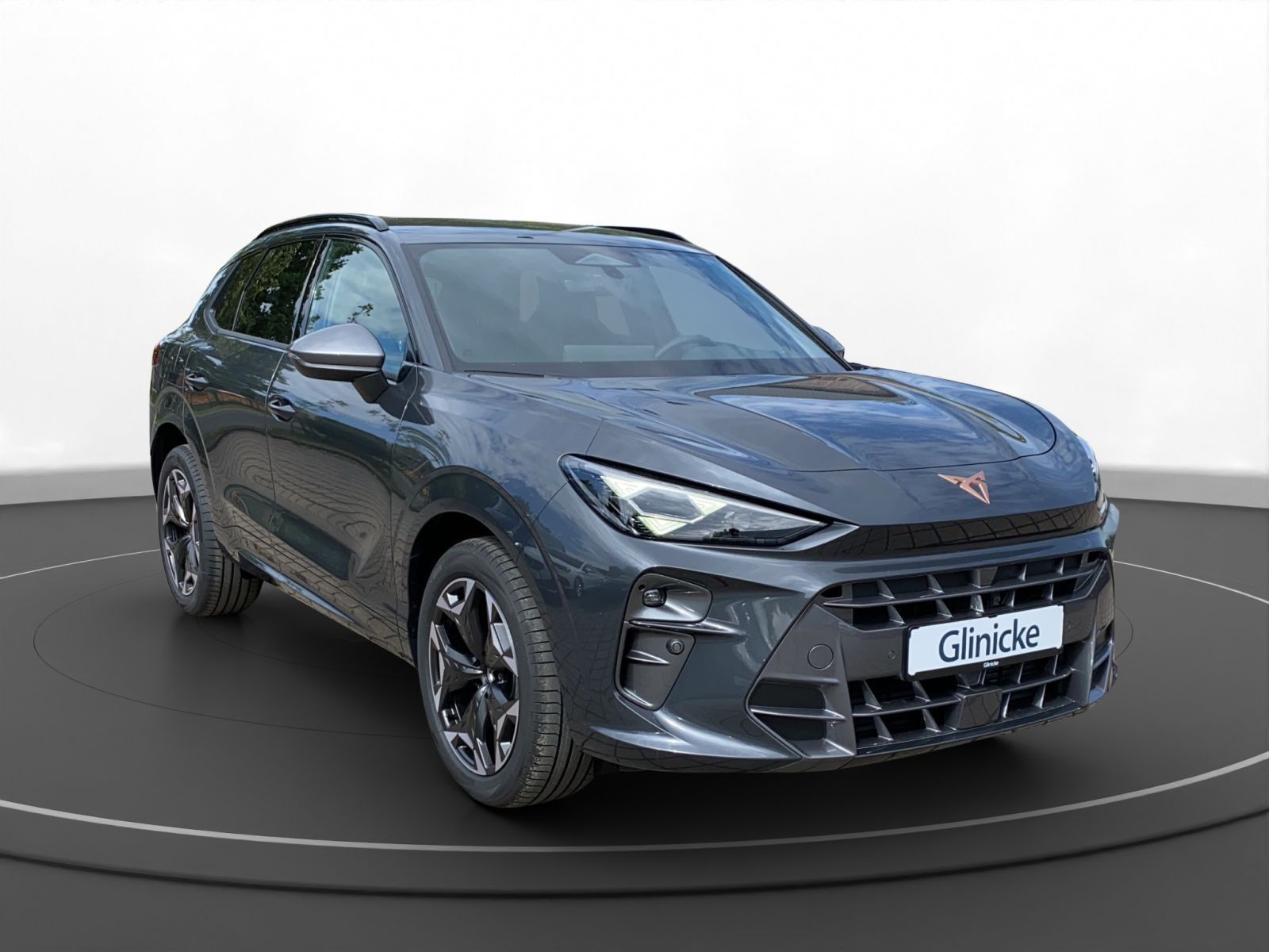 Cupra - Terramar_10