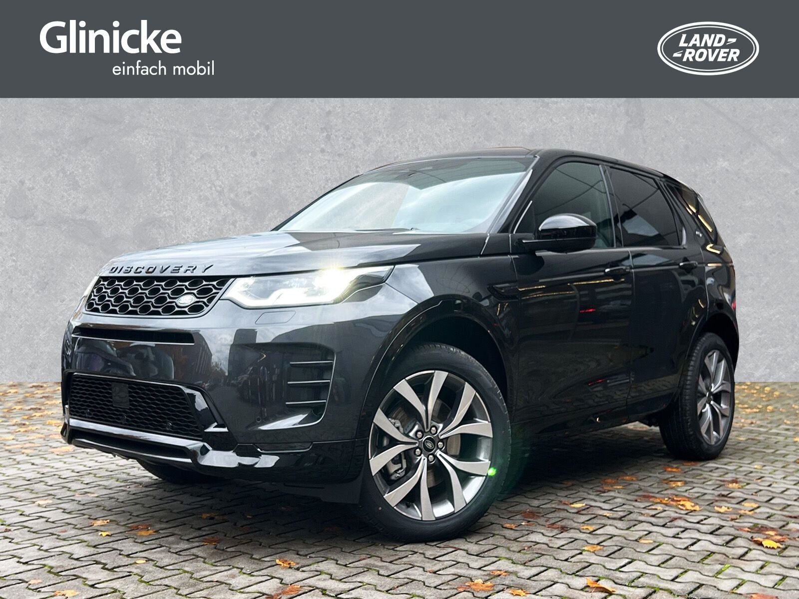 Discovery Sport Dynamic HSE 20 Zoll Pano Winter