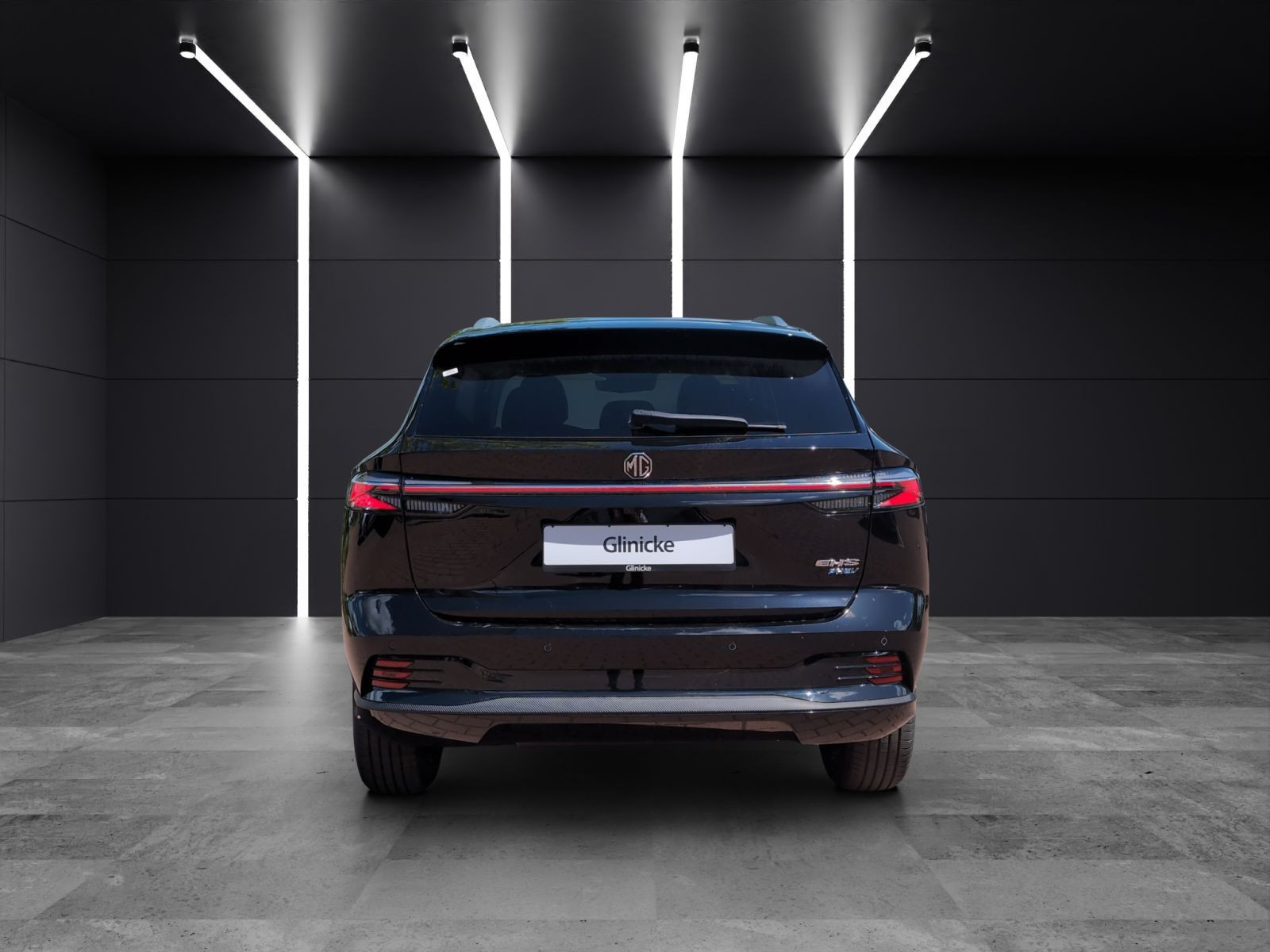 MG - HS_4 MG - HS_4