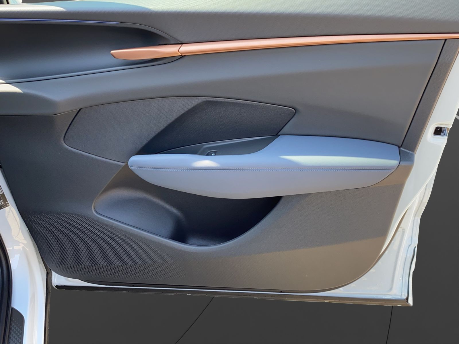Cupra - Terramar_19