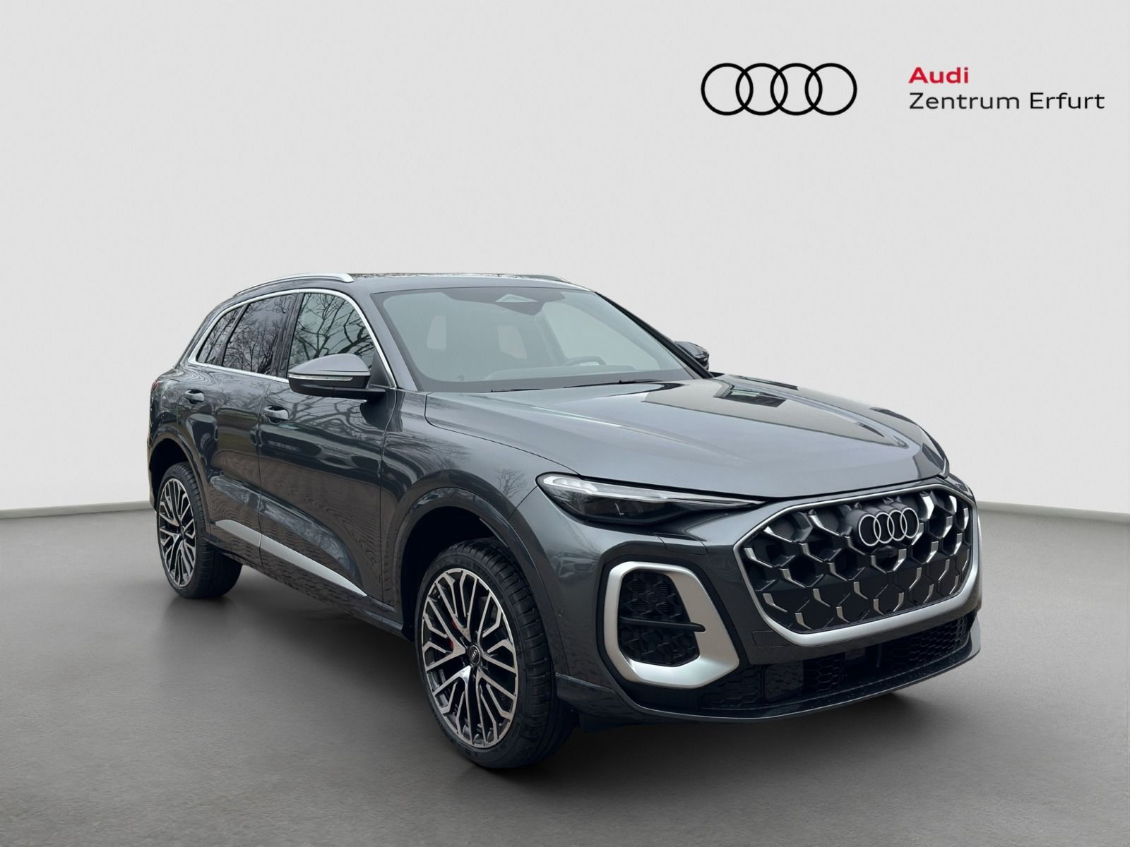 Audi - SQ5_8