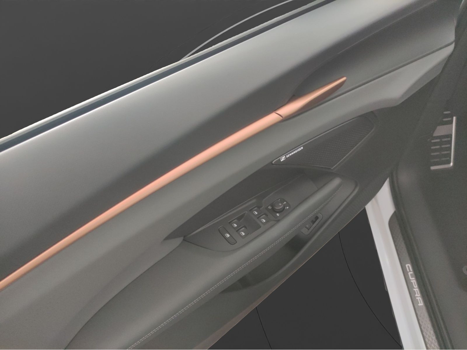 Cupra - Terramar_18