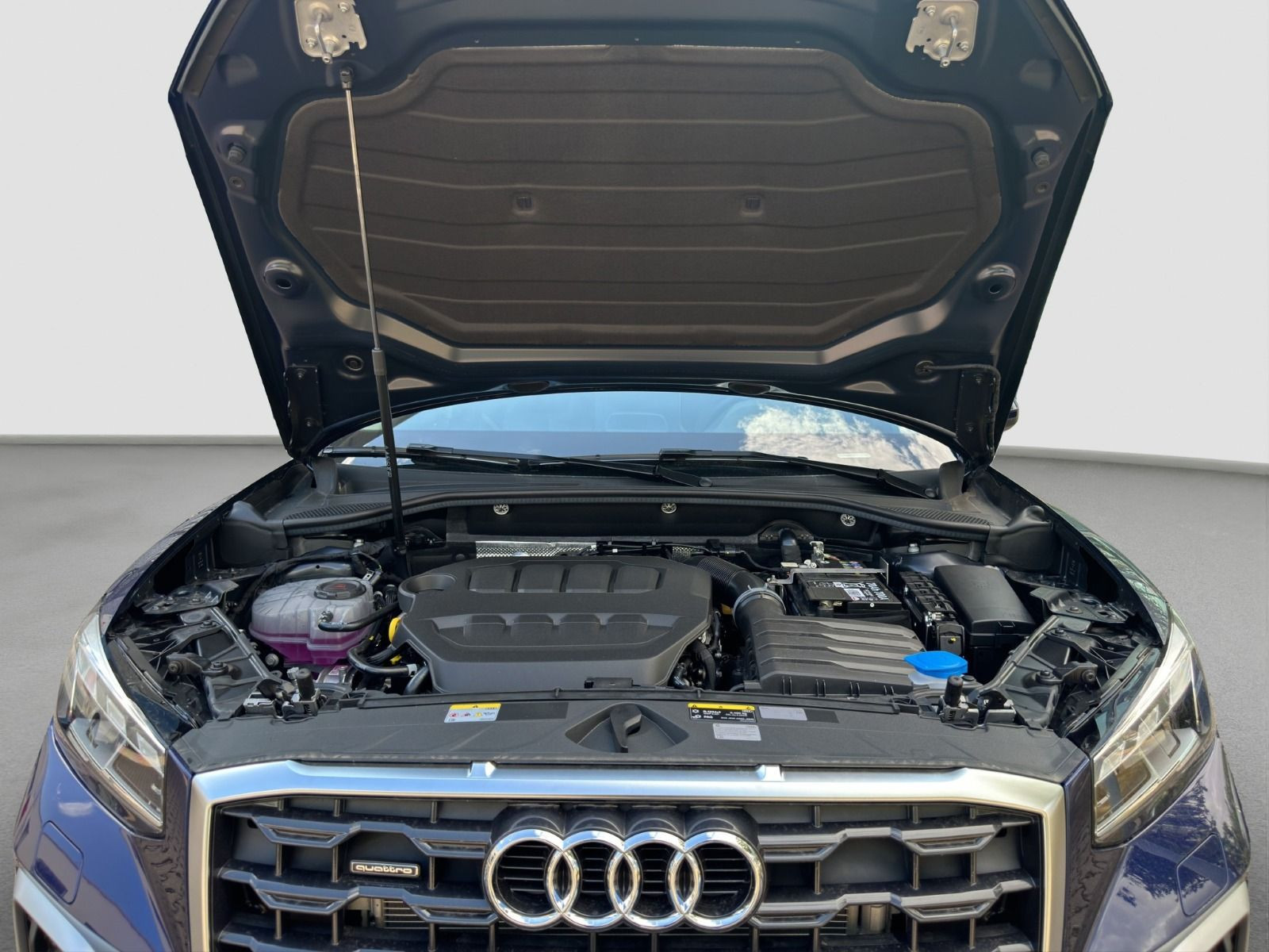 Audi - Q2_24