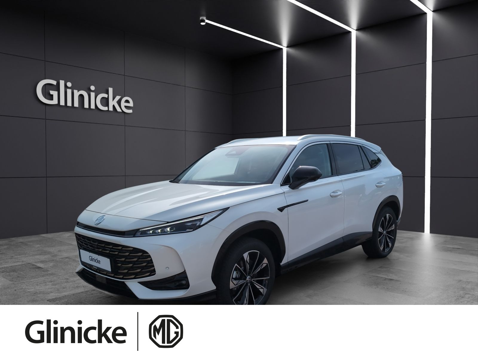 MG - HS_1 MG - HS_1