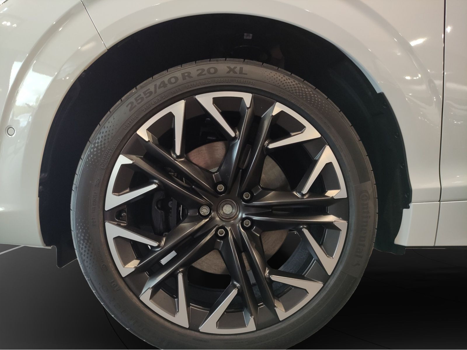 Cupra - Terramar_9