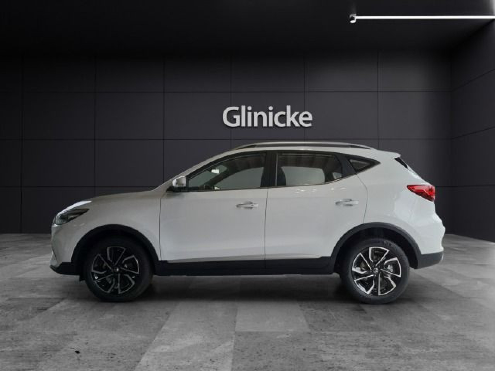 MG - ZS_8 MG - ZS_8