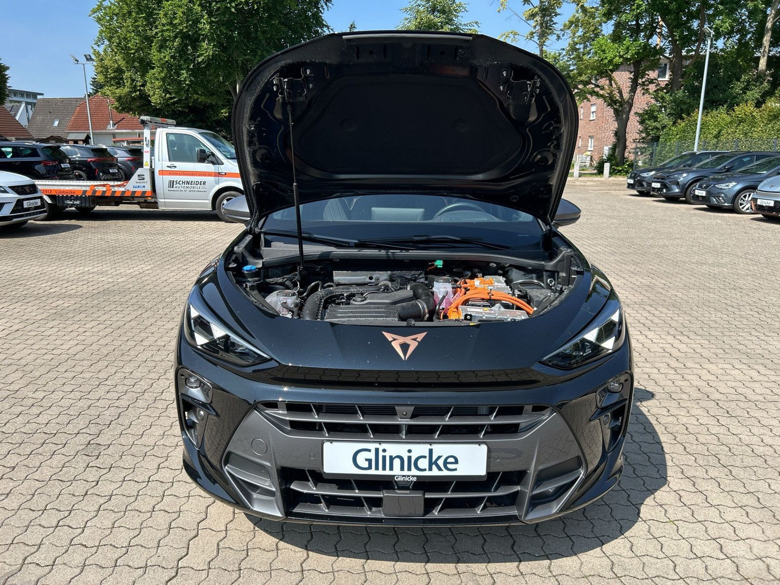 Cupra - Terramar_18