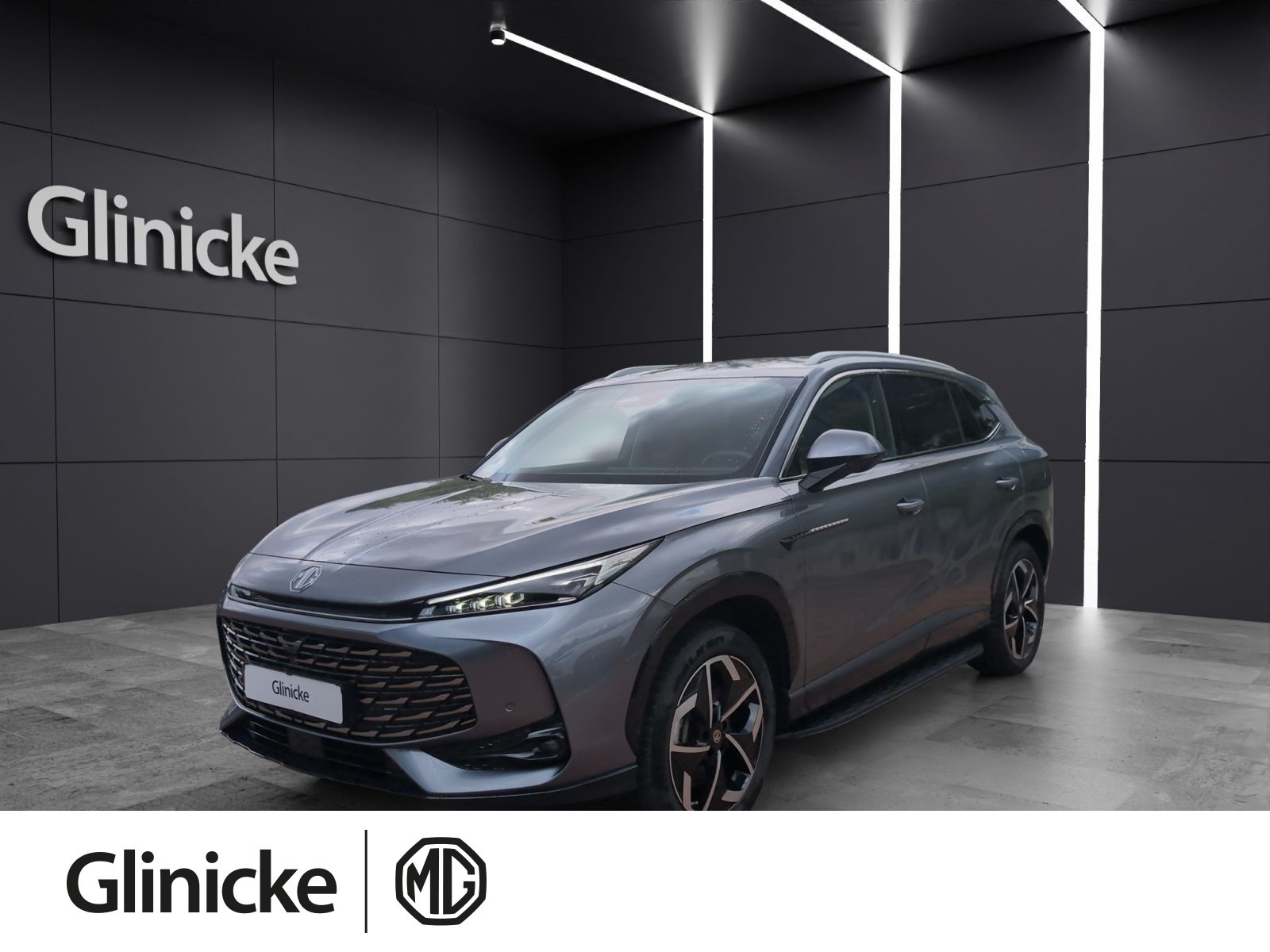 MG - HS_1 MG - HS_1