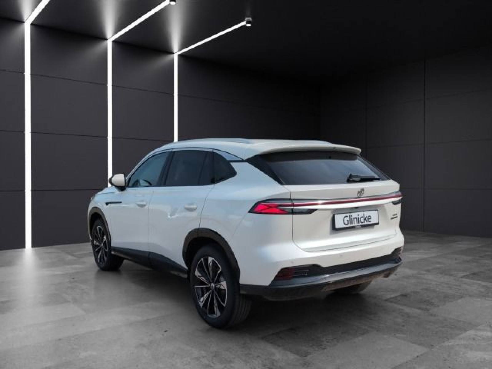 MG - HS_3 MG - HS_3