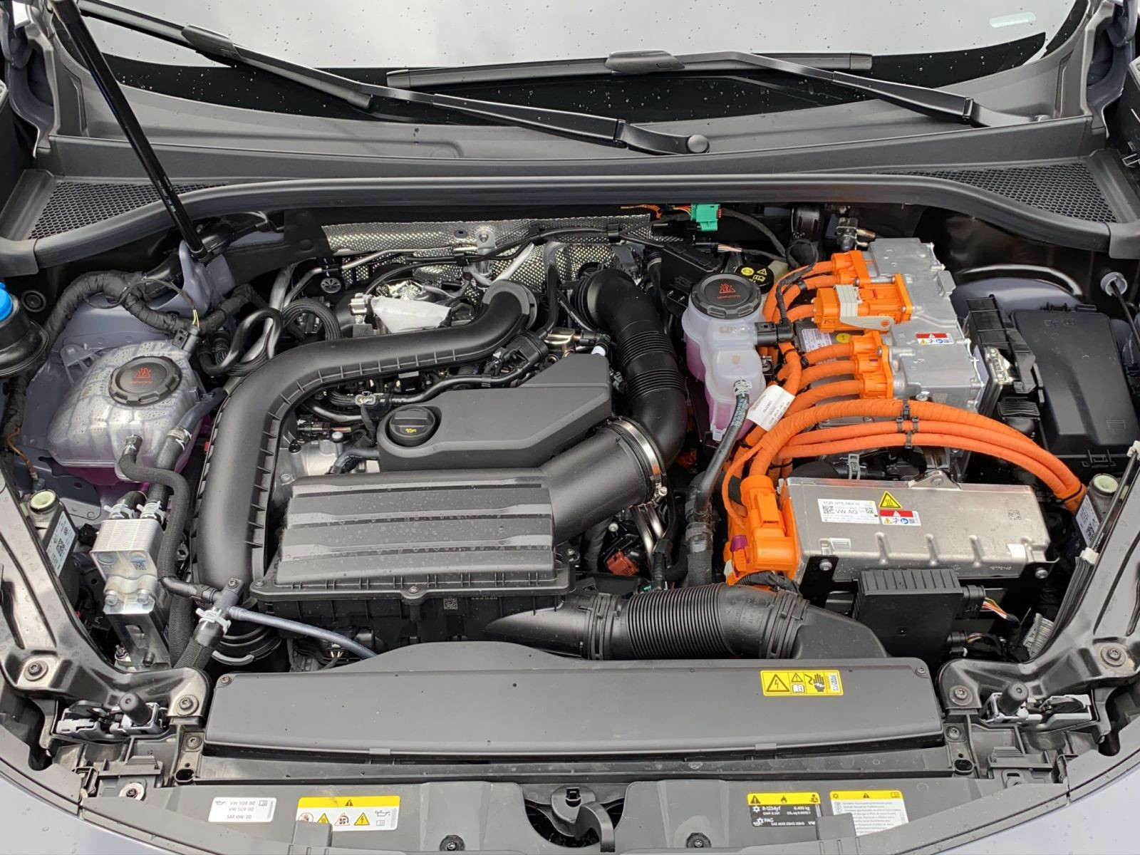 Cupra - Terramar_23