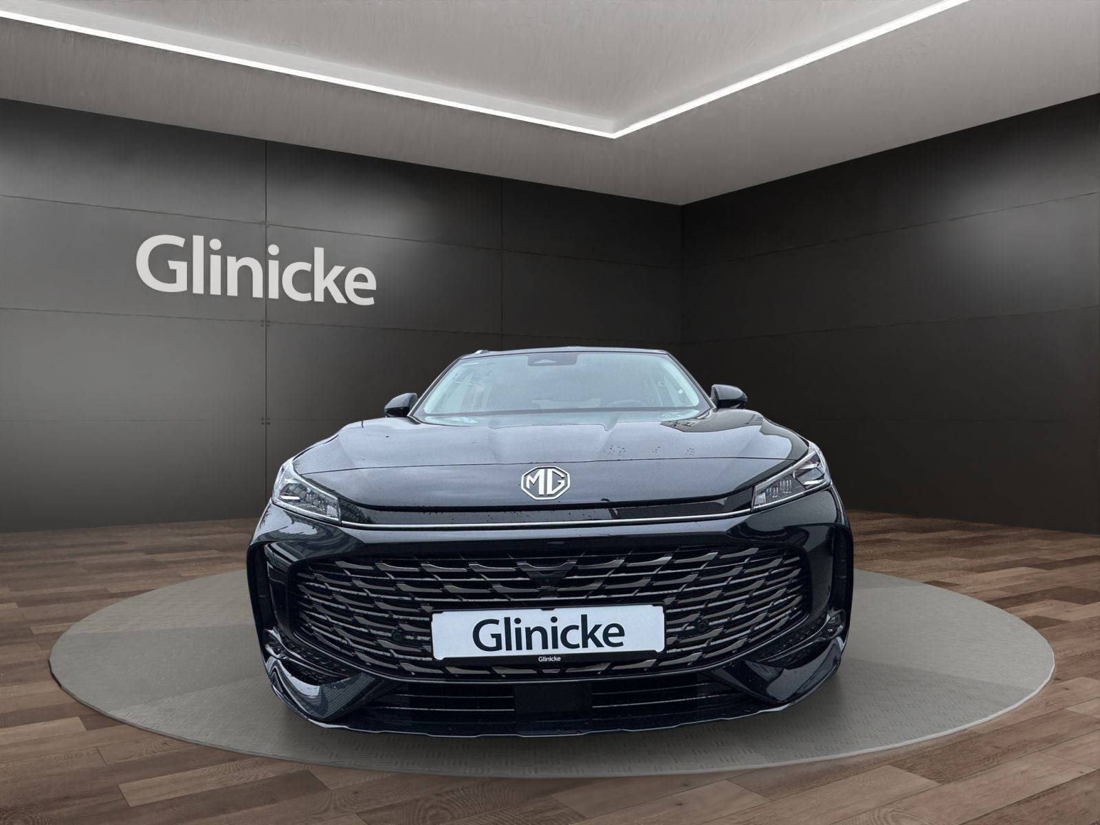 MG - HS_8 MG - HS_8