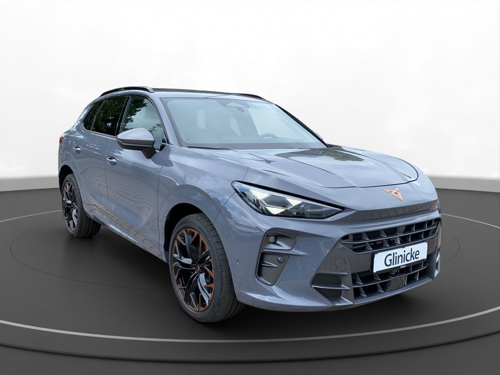 Cupra - Terramar_10
