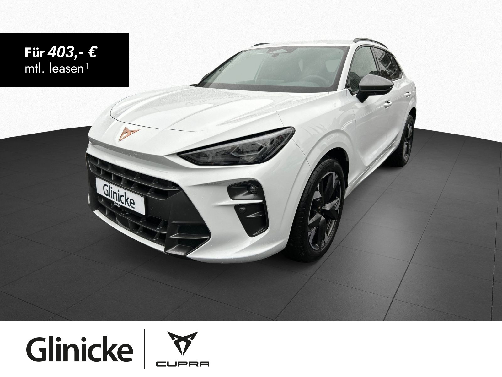 Cupra - Terramar_1