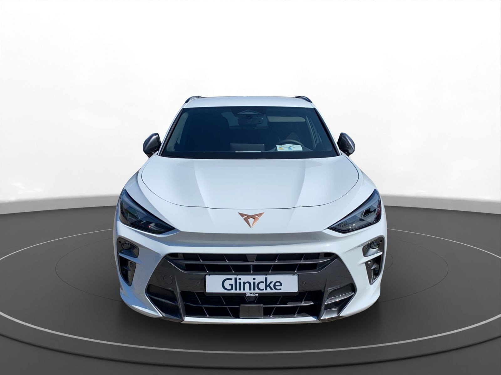 Cupra - Terramar_4