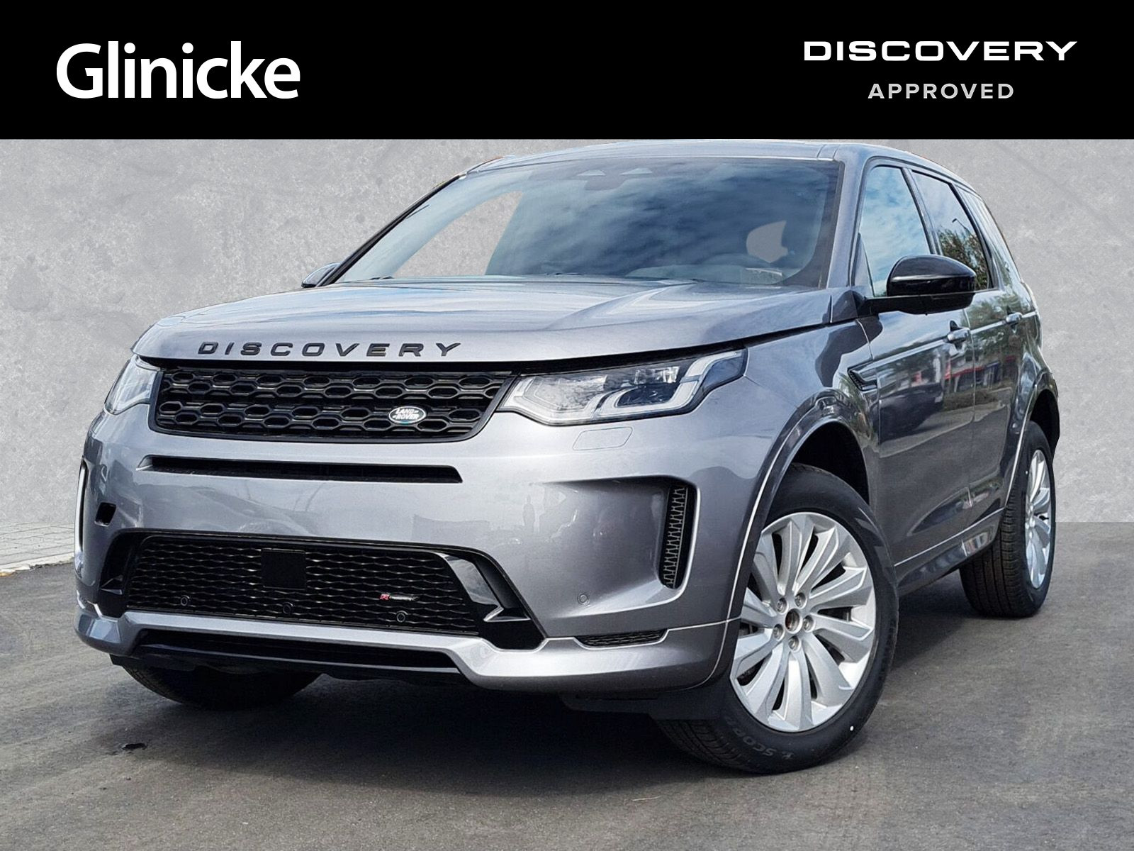 Discovery Sport 2.0 D165 S Winter-Paket