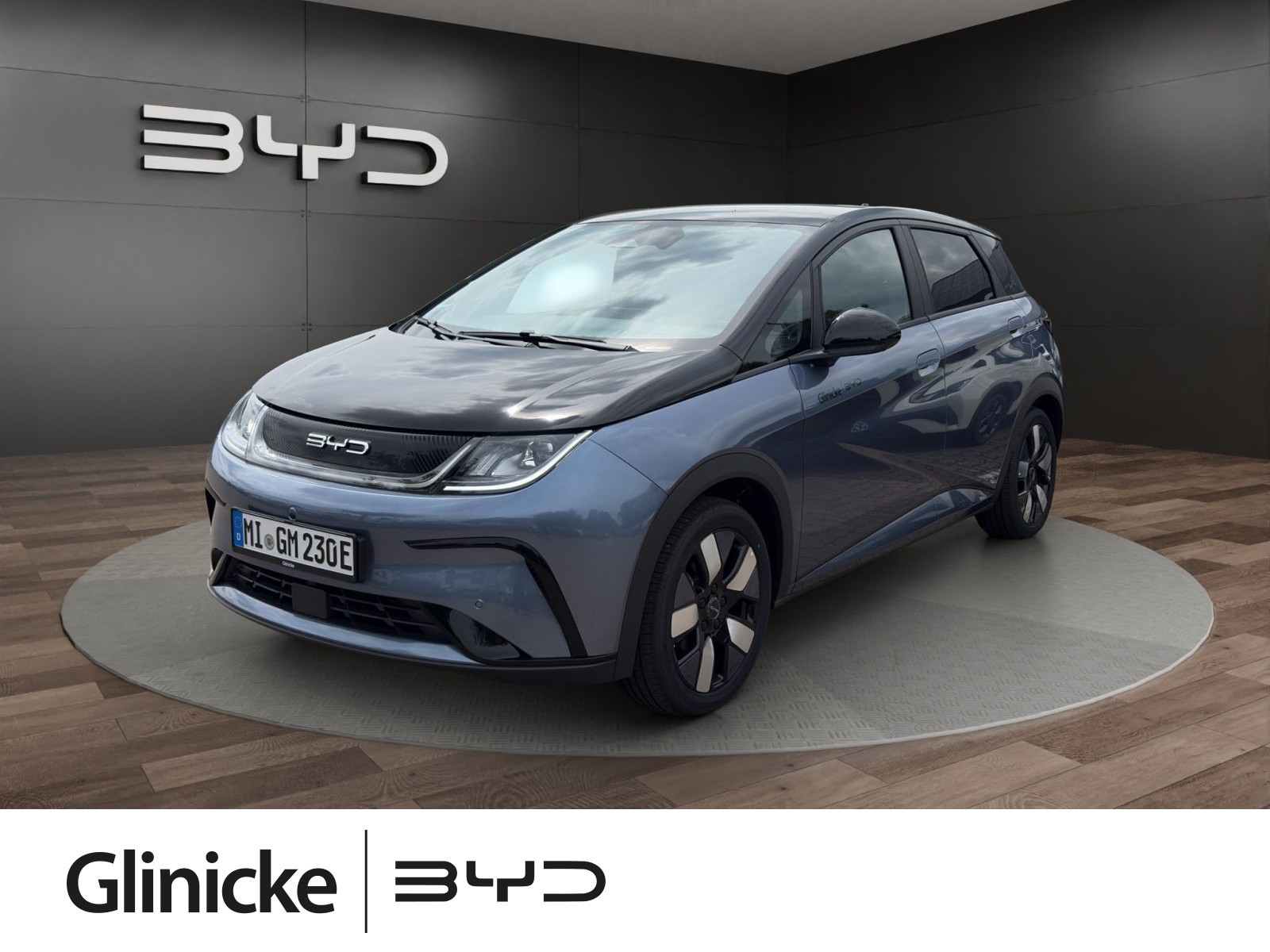 BYD - DOLPHIN_1
