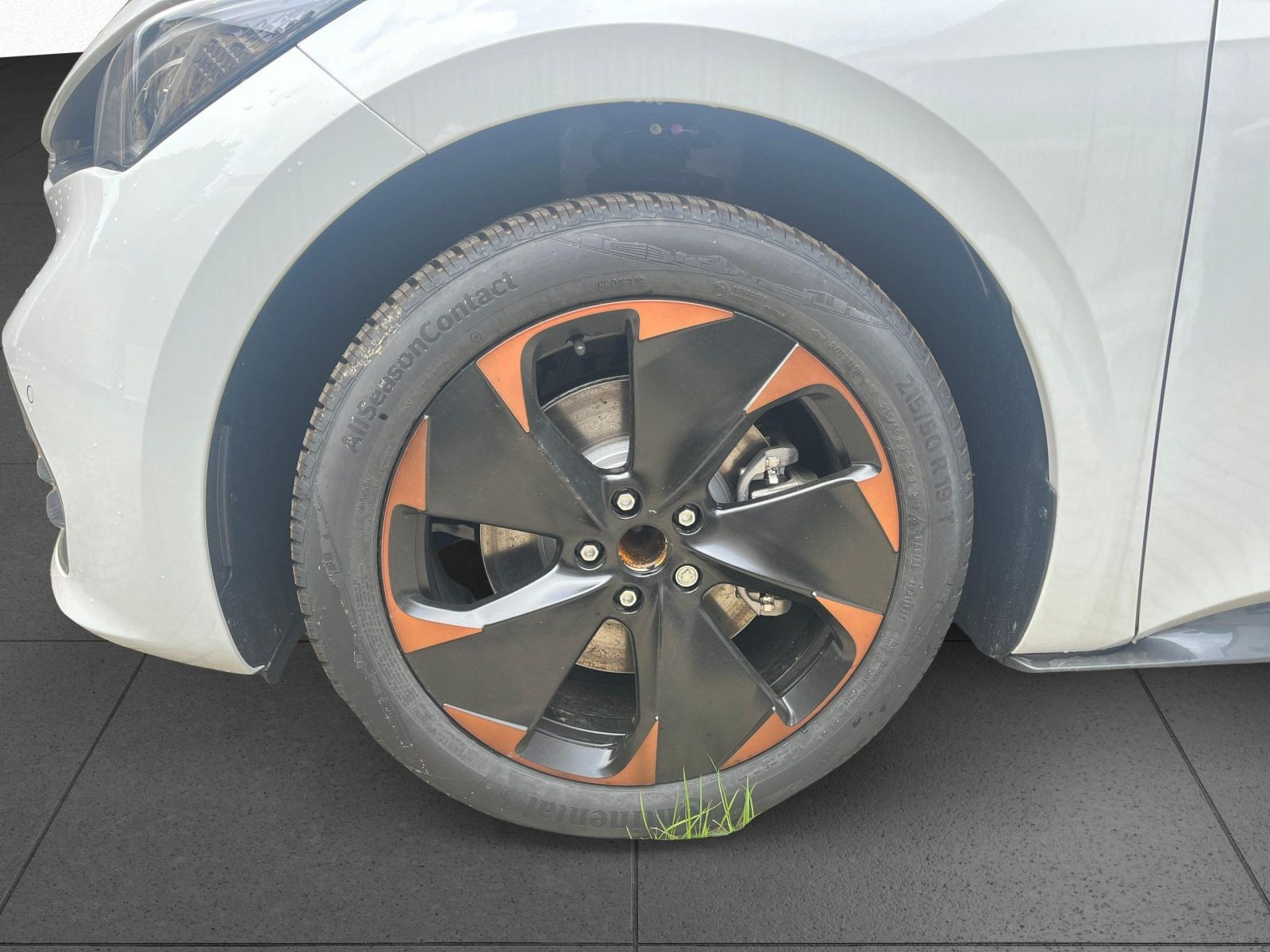 Cupra - Born_9