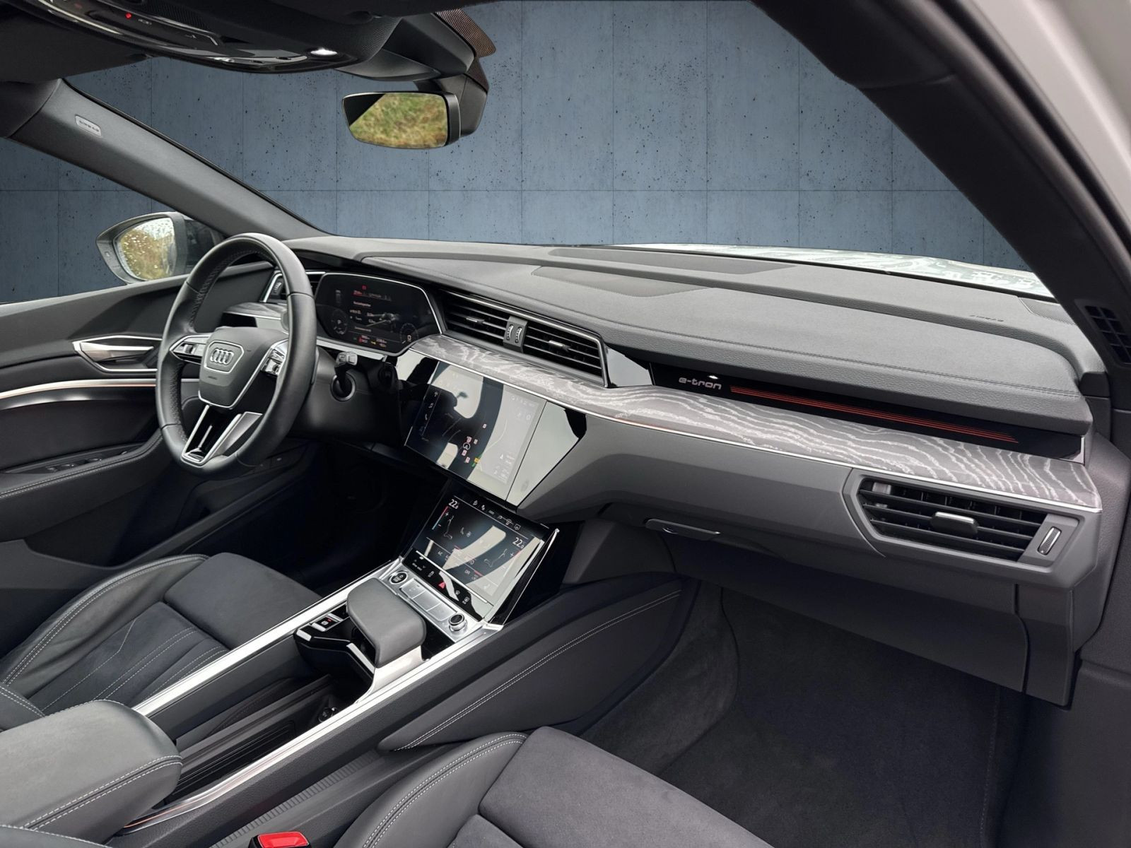 Audi - Q8 e-tron_16