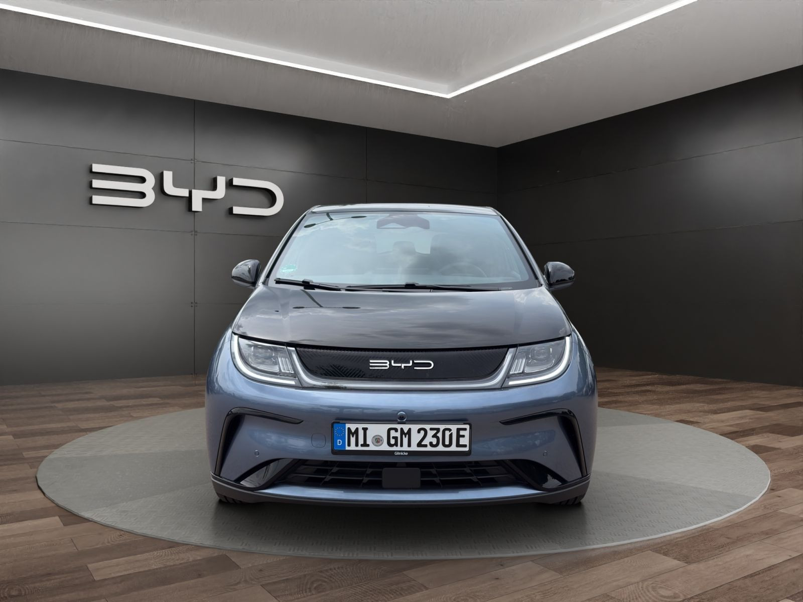 BYD - DOLPHIN_2