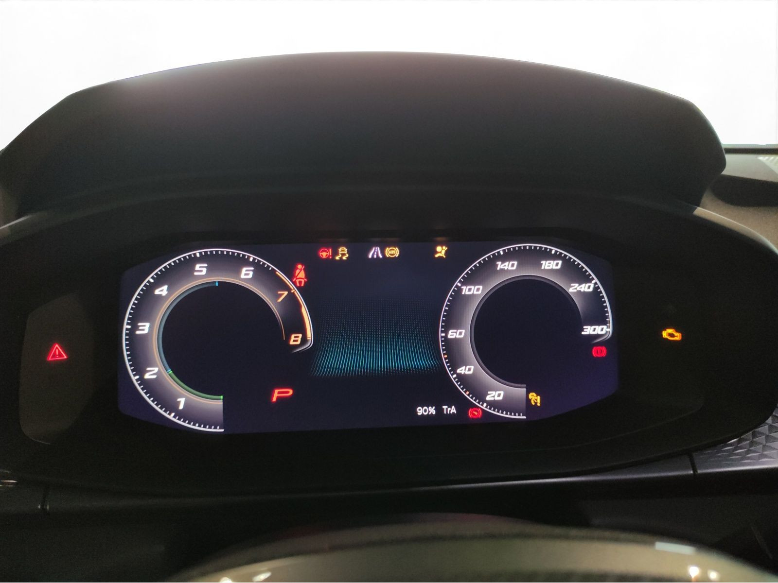 Cupra - Terramar_19