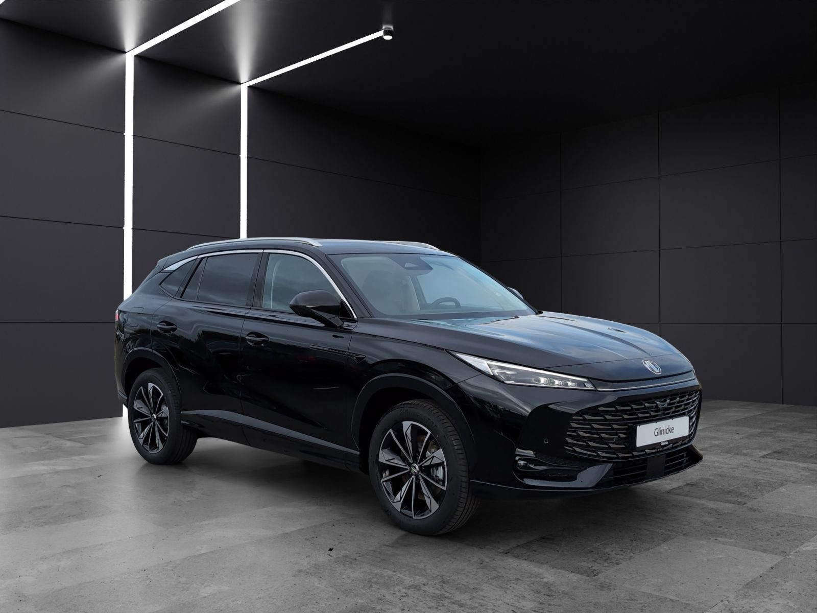MG - HS_7 MG - HS_7