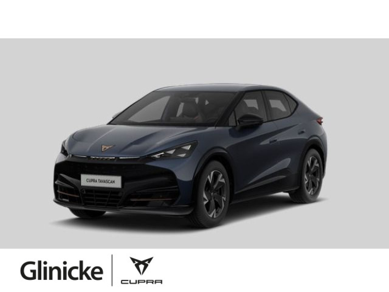Tavascan Endurance 210 kW 77 kWh