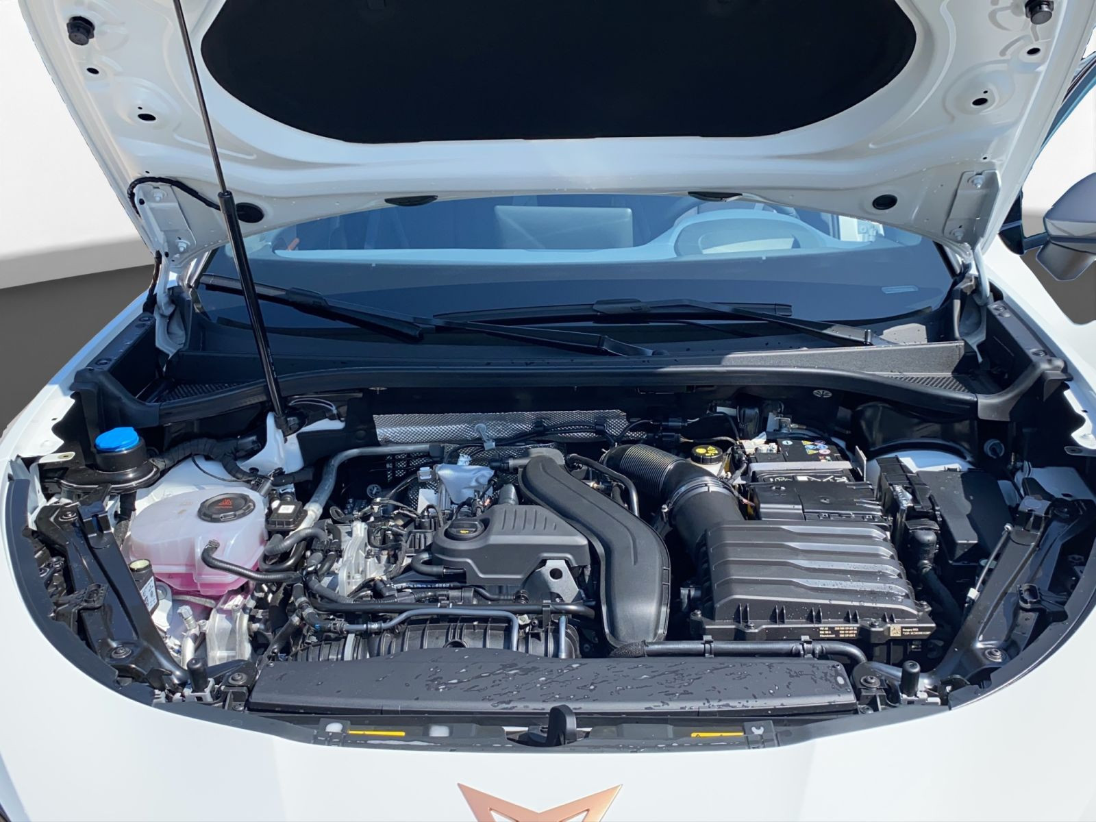 Cupra - Terramar_23