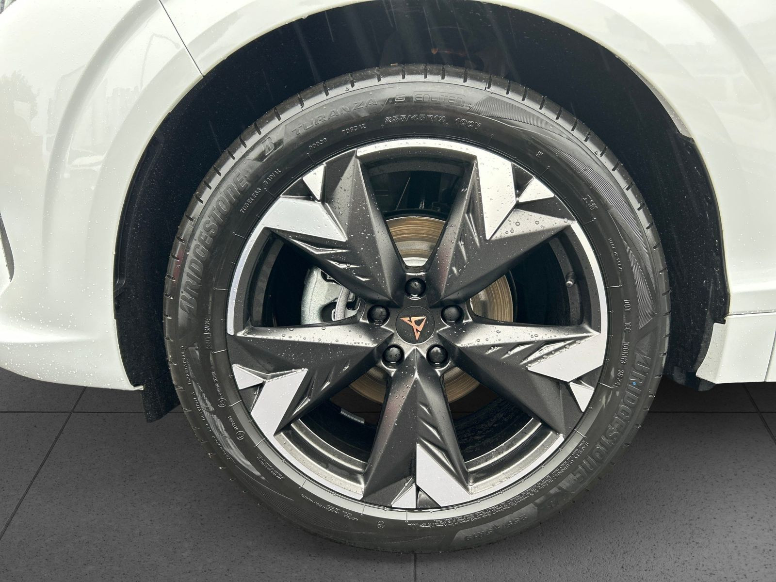 Cupra - Terramar_8