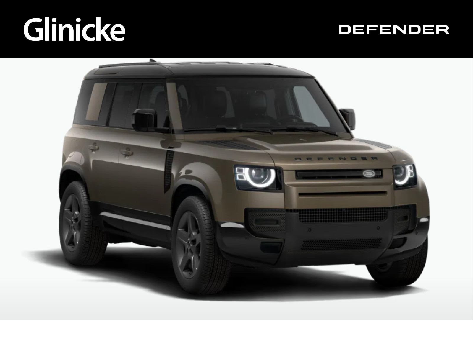 Land Rover Defender 110 D250 AWD X-DYNAMIC  SE Winter Paket AHK Black Pack