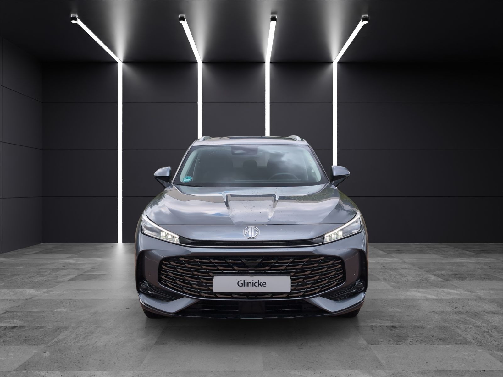 MG - HS_6 MG - HS_6