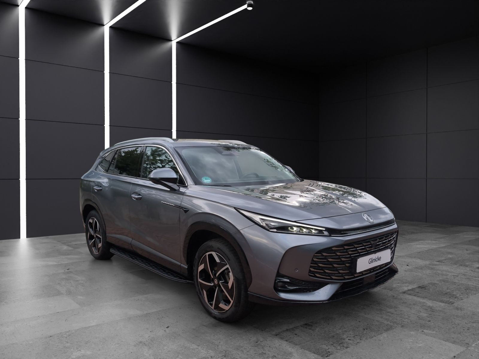 MG - HS_5