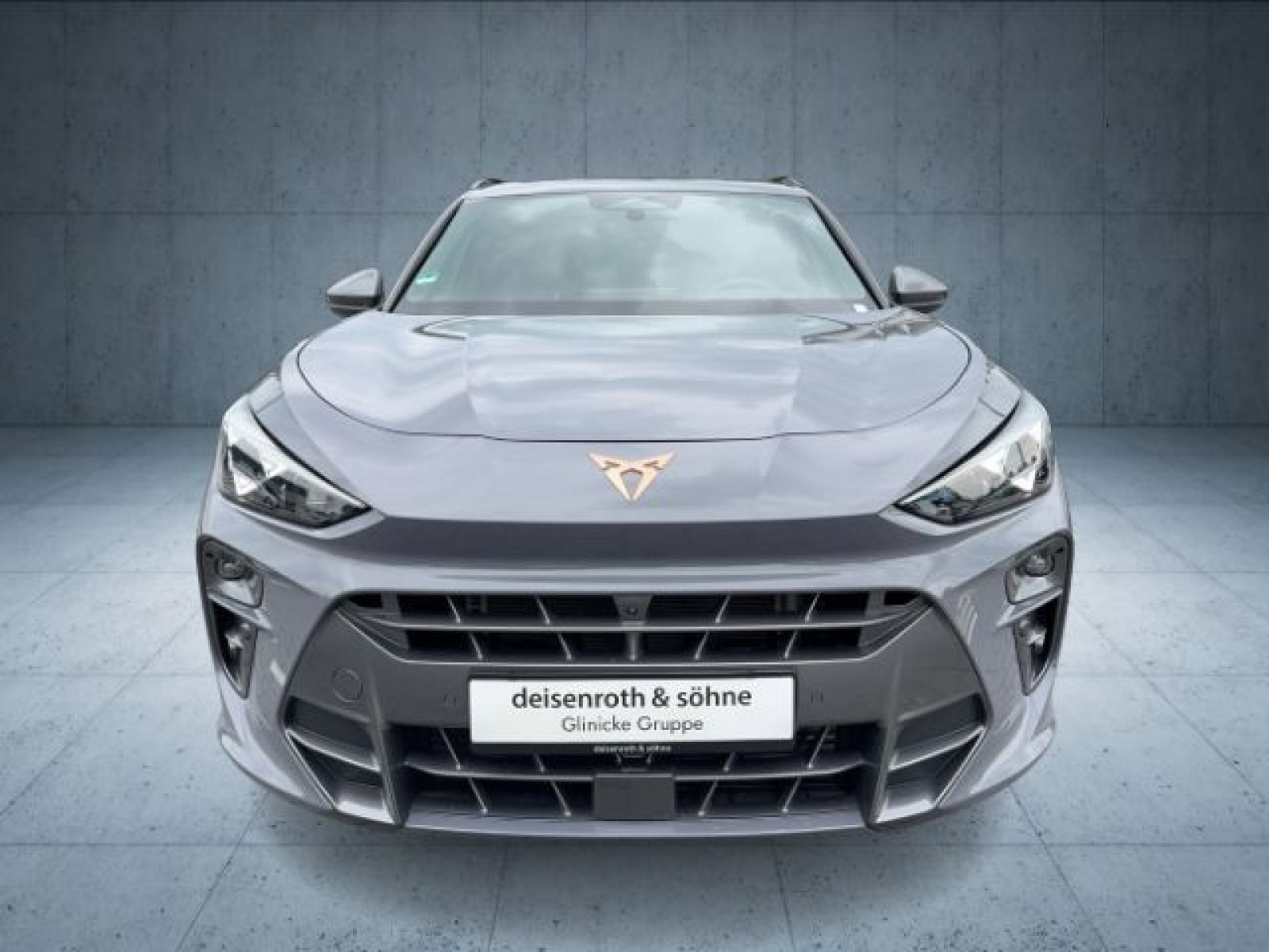 Cupra - Terramar_10