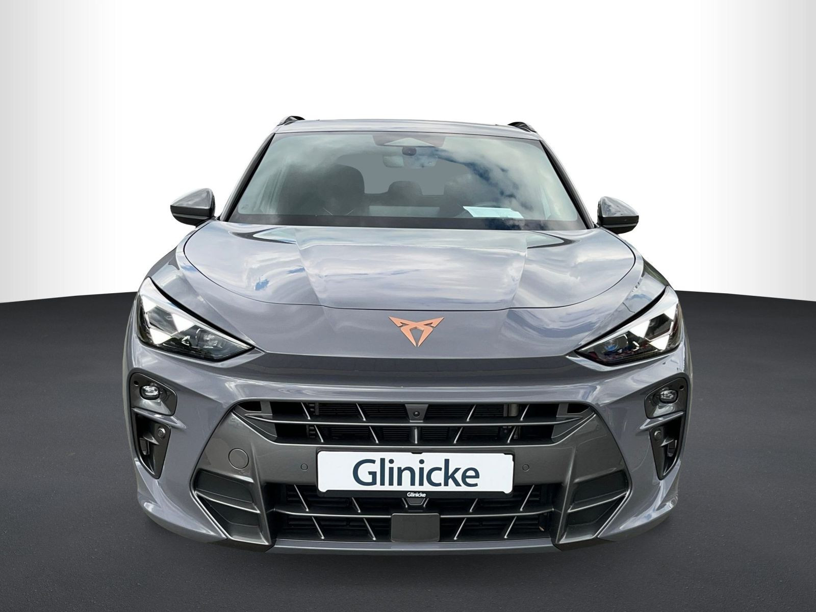 Cupra - Terramar_5