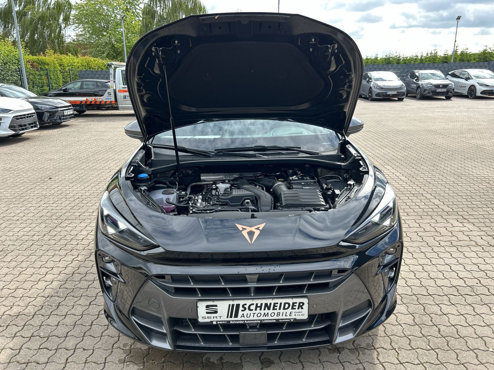Cupra - Terramar_18