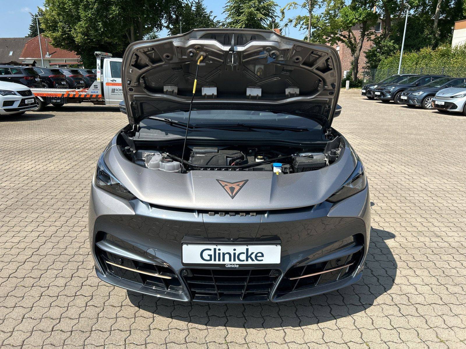Cupra - Tavascan_18