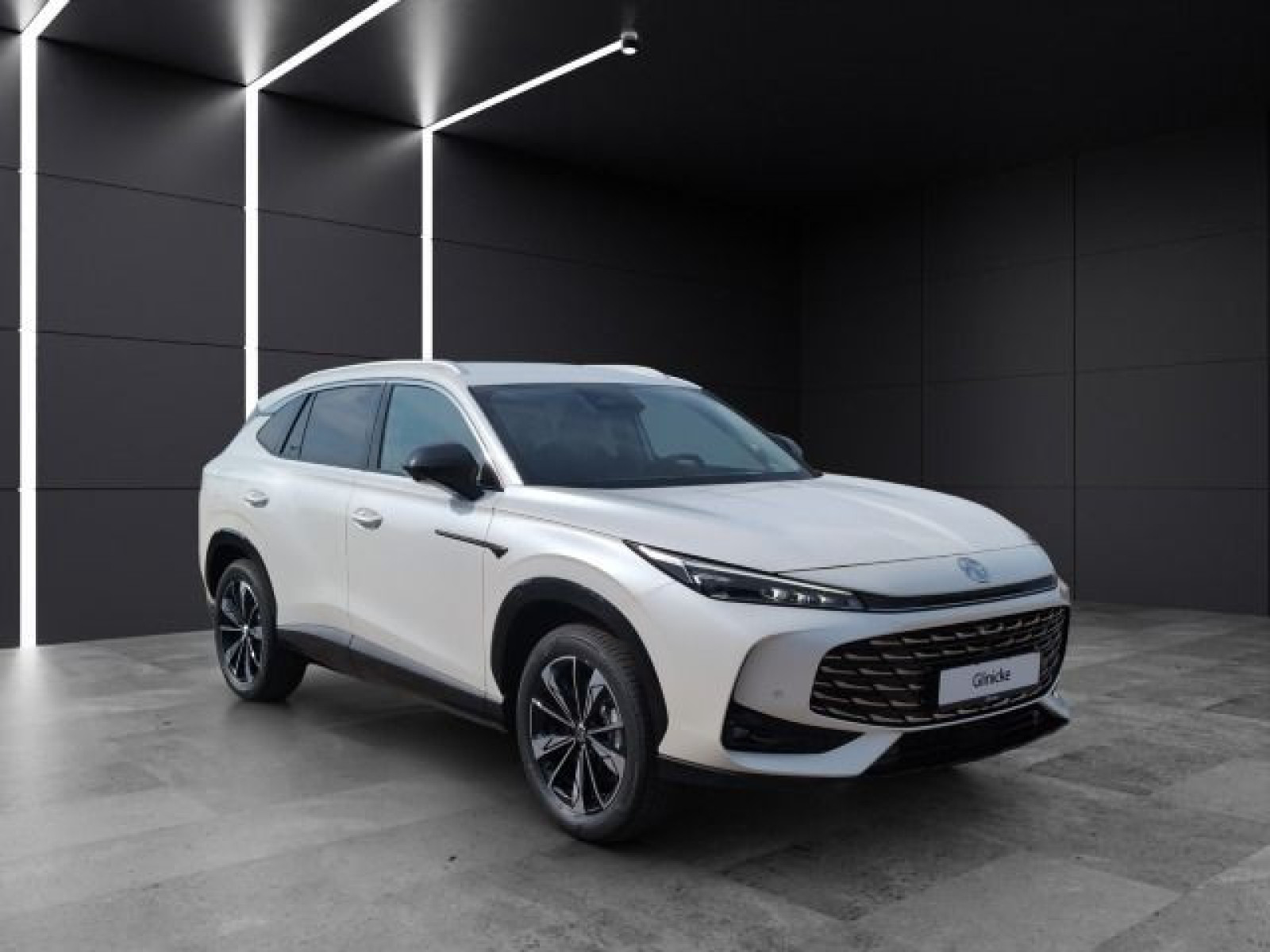 MG - HS_7
