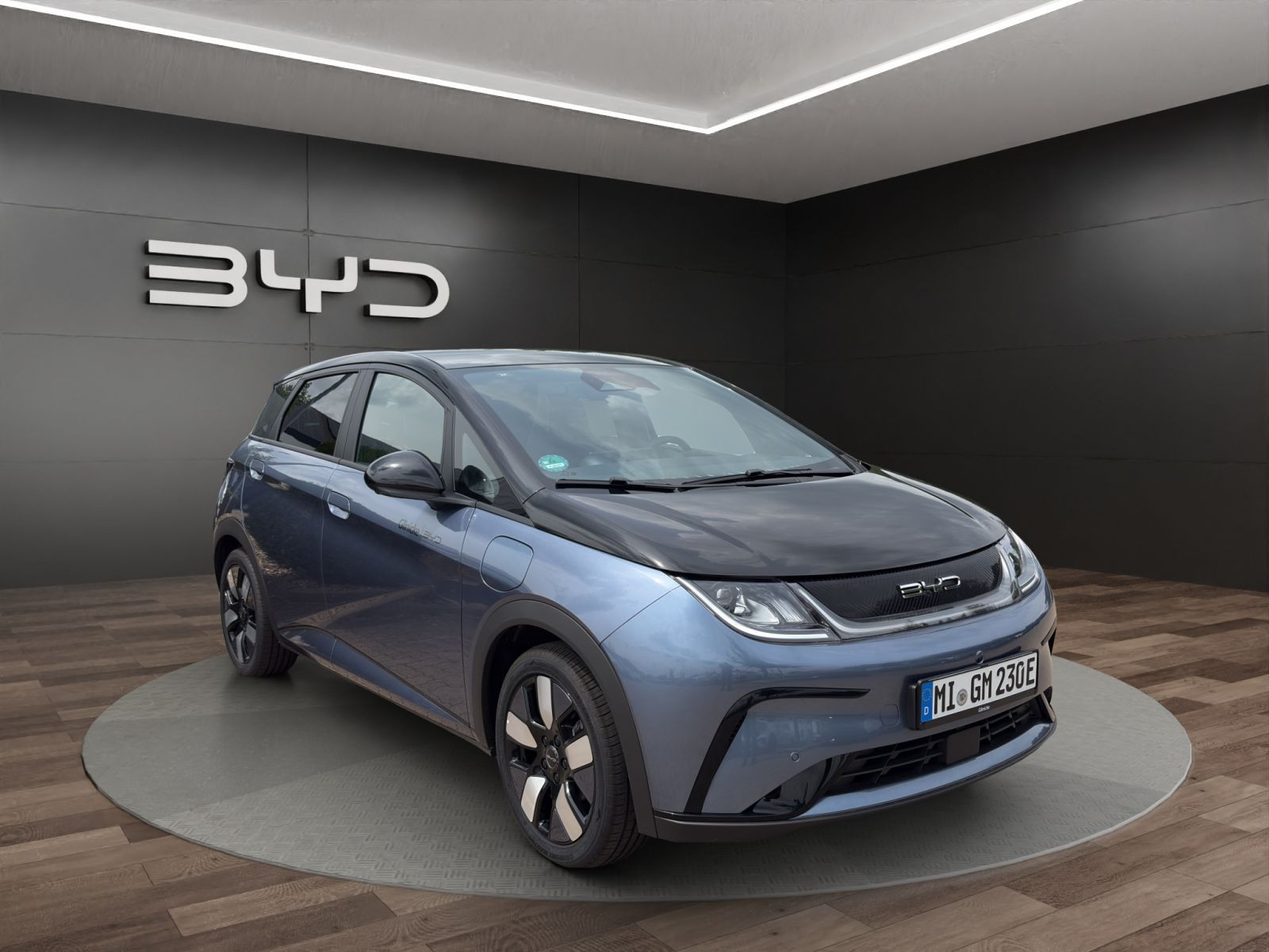 BYD - DOLPHIN_8