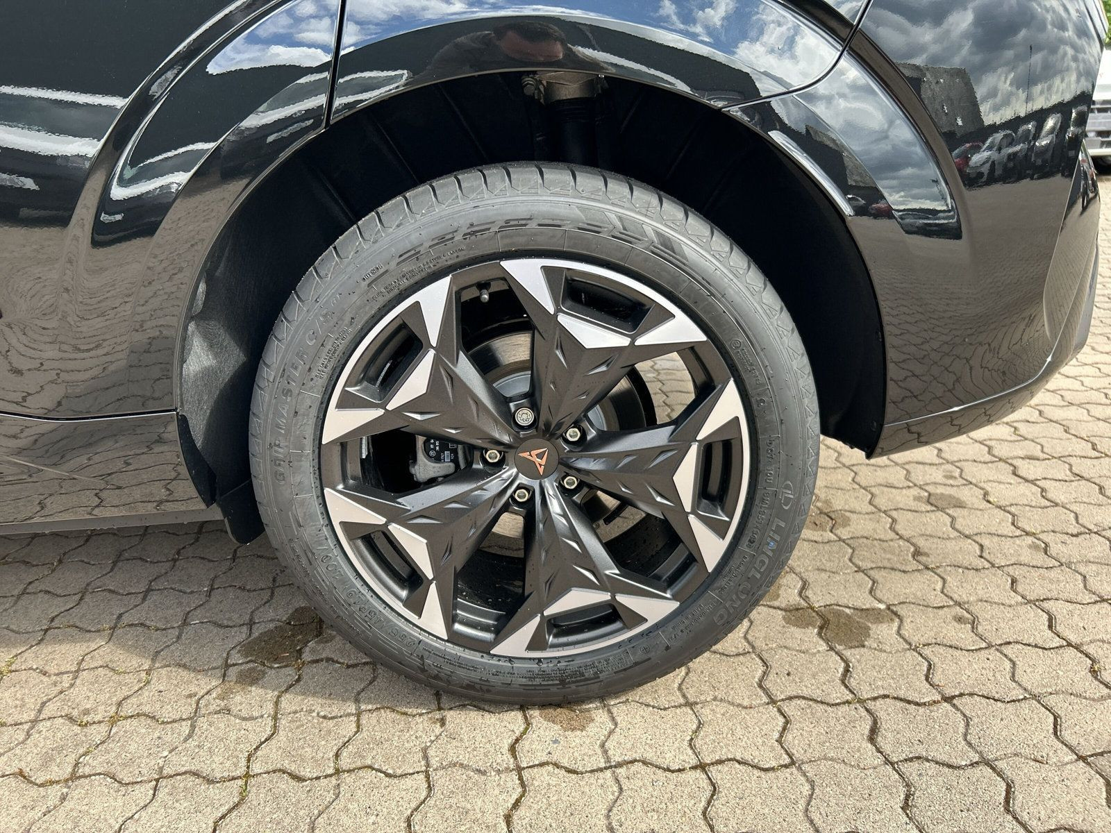 Cupra - Terramar_19