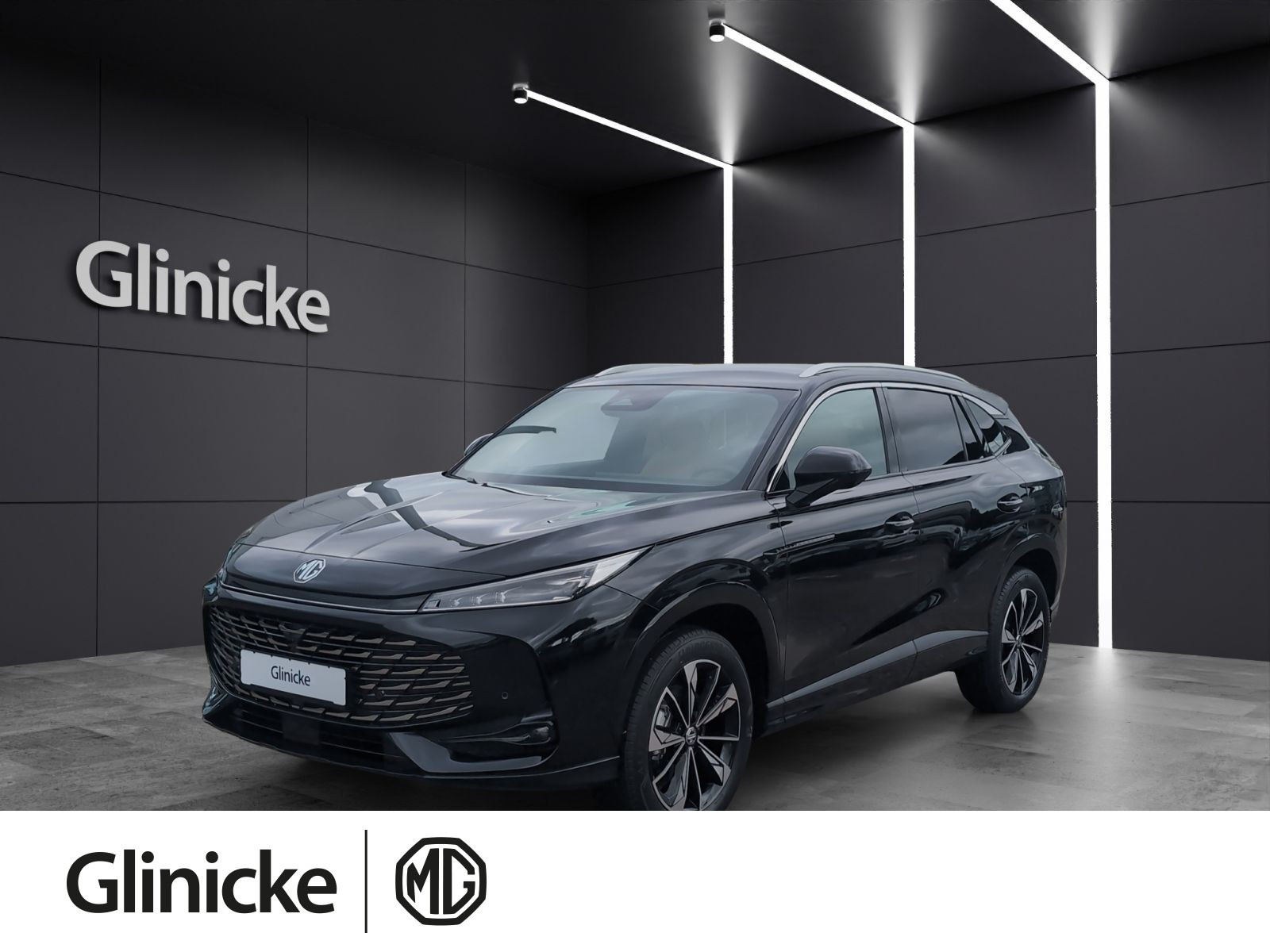 MG - HS_1 MG - HS_1