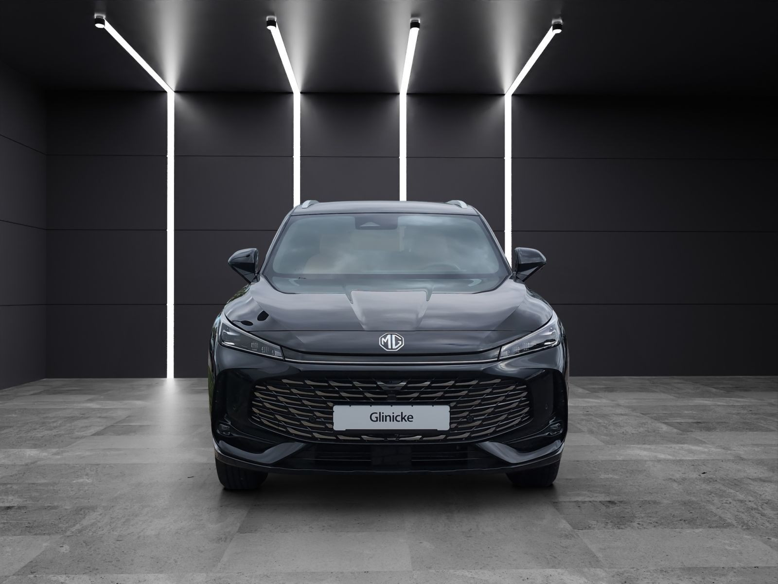 MG - HS_7 MG - HS_7