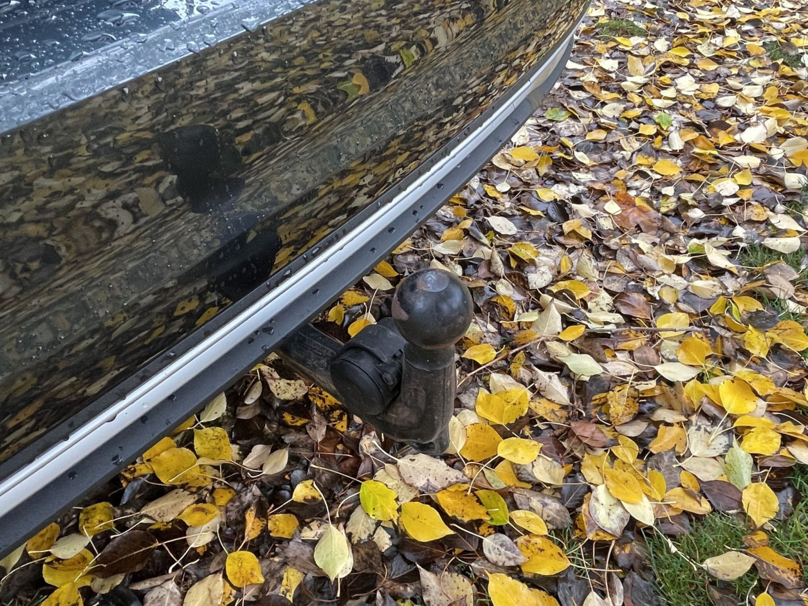 Audi - A6 Avant_25 Audi - A6 Avant_25