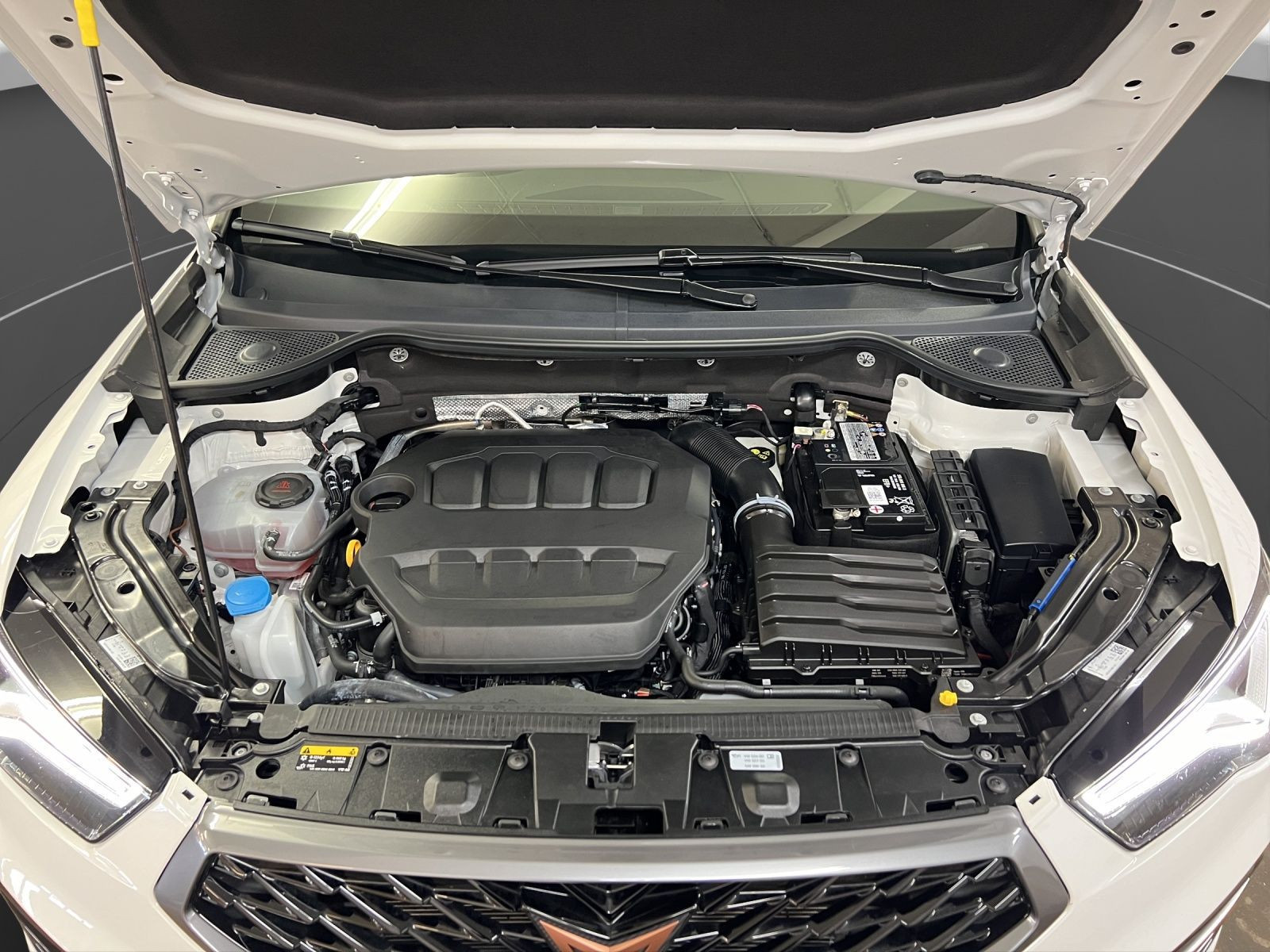 Cupra - Ateca_23