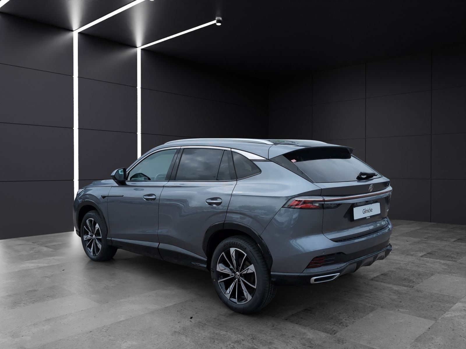 MG - HS_3 MG - HS_3