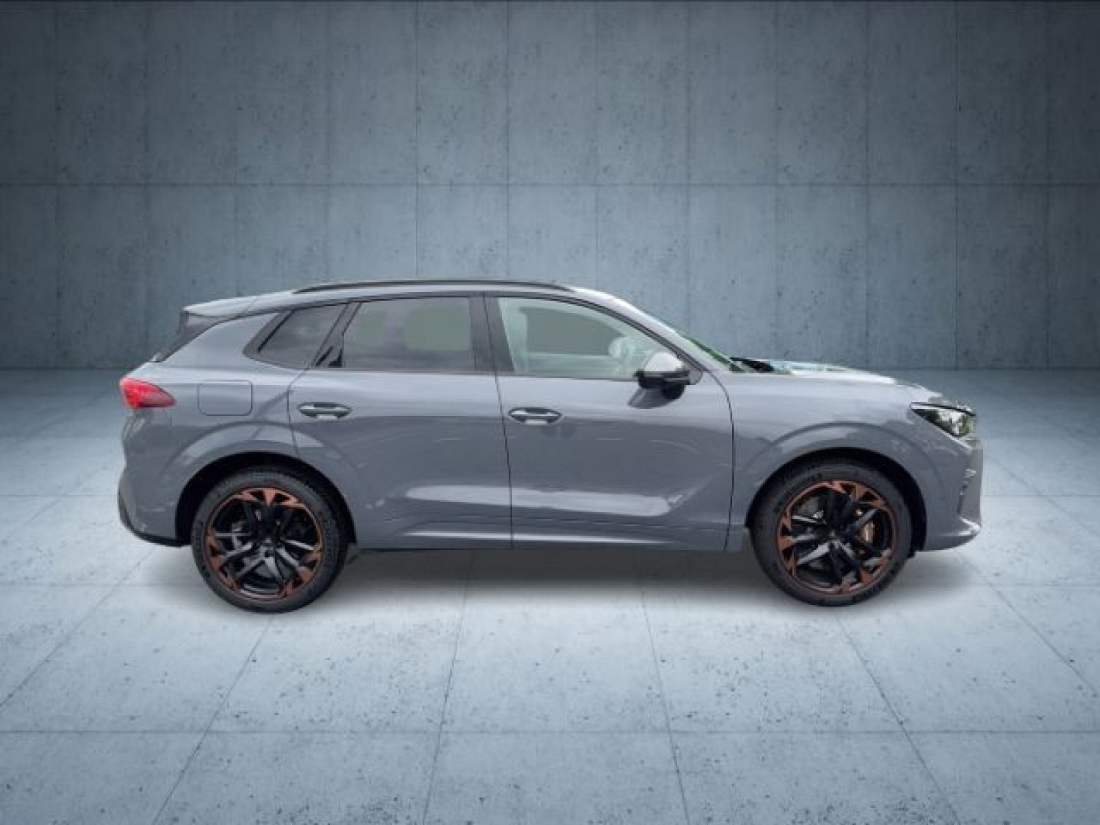 Cupra - Terramar_8