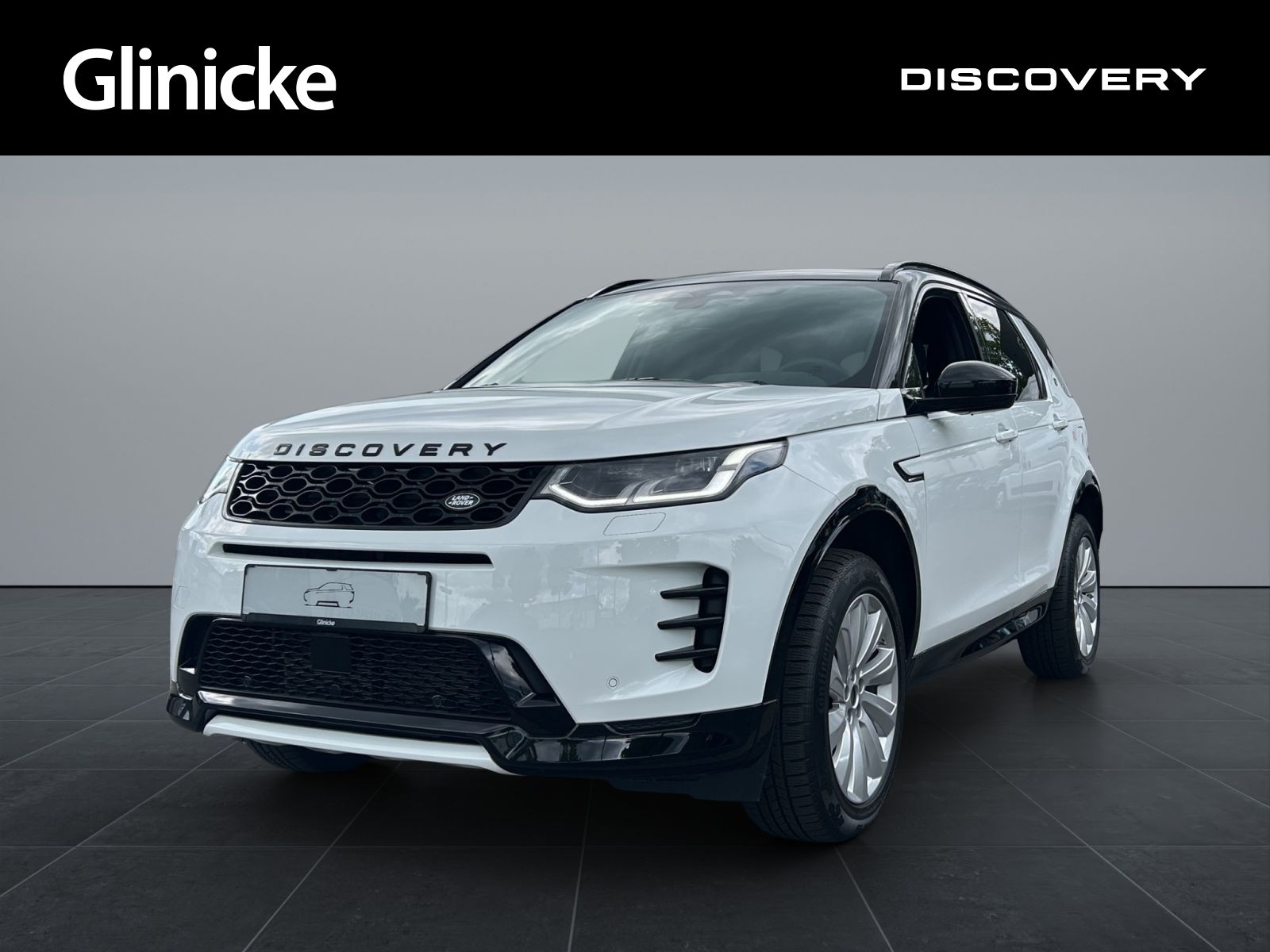 Discovery Sport P270e SE Winter Pack AHK Panoram