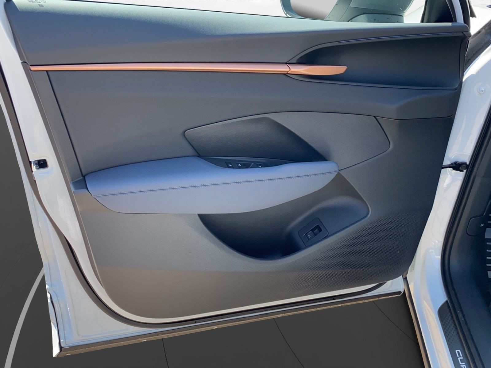 Cupra - Terramar_14