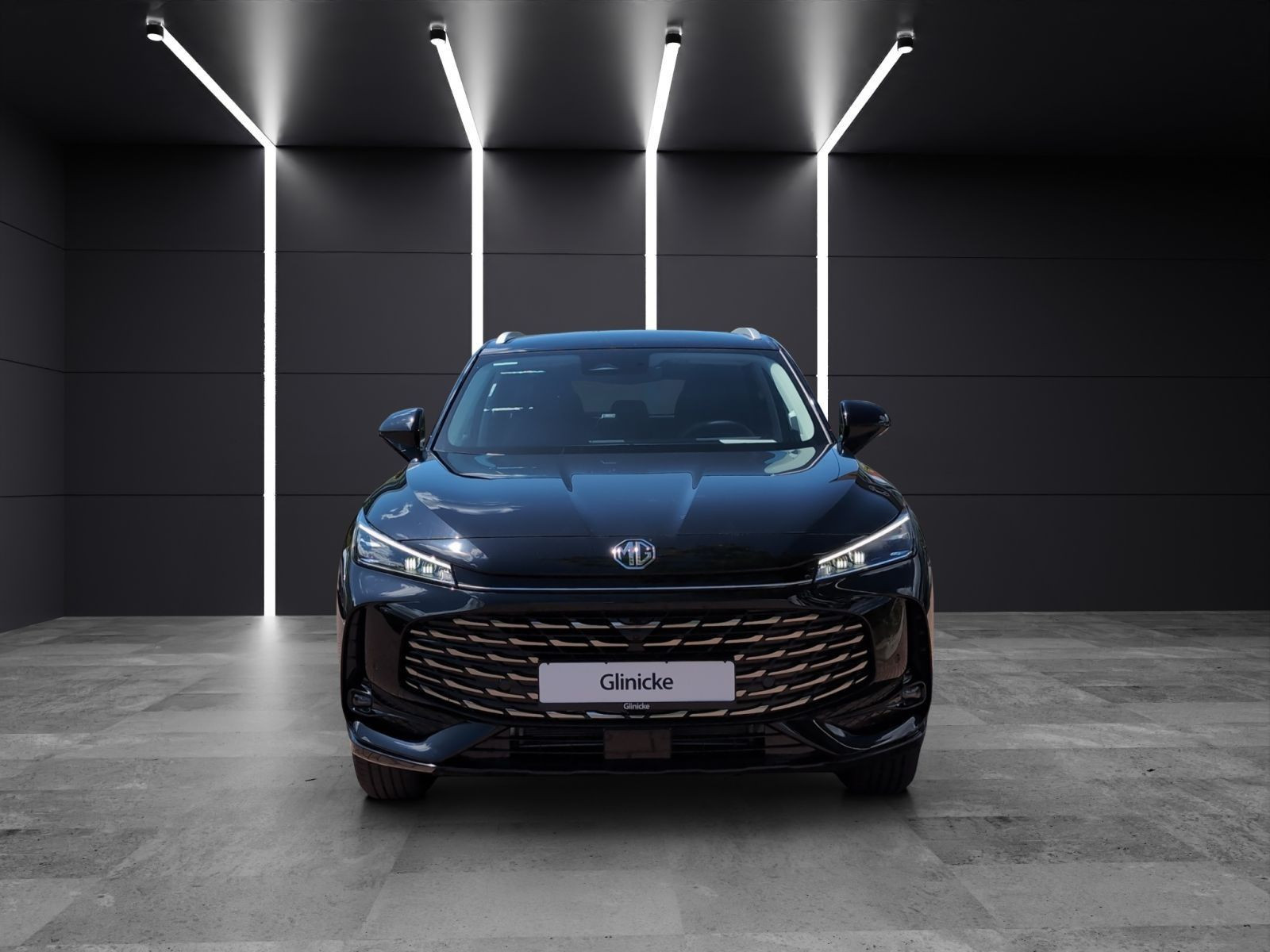 MG - HS_8 MG - HS_8