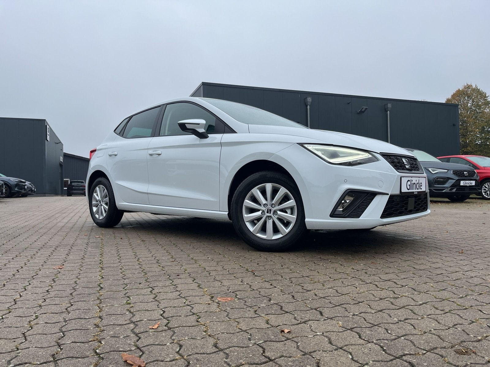 Seat - Ibiza_10